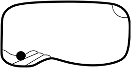 Billabong pool outline