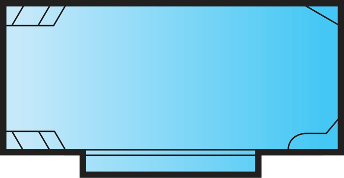 Vice President pool outline